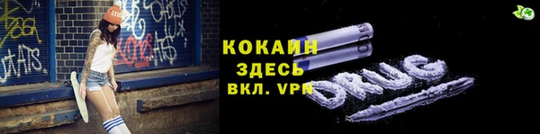 мдпв Бородино