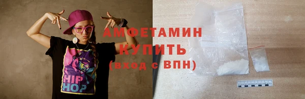мдпв Бородино