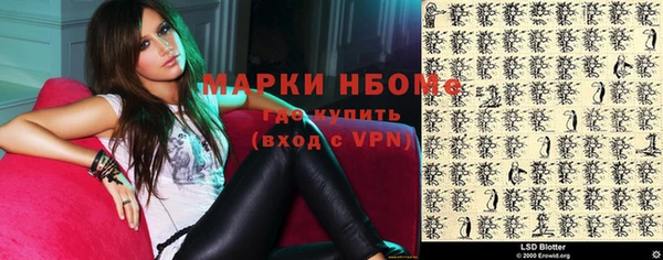 мдпв Бородино