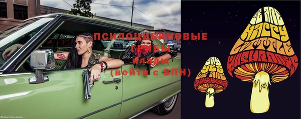 мдпв Бородино